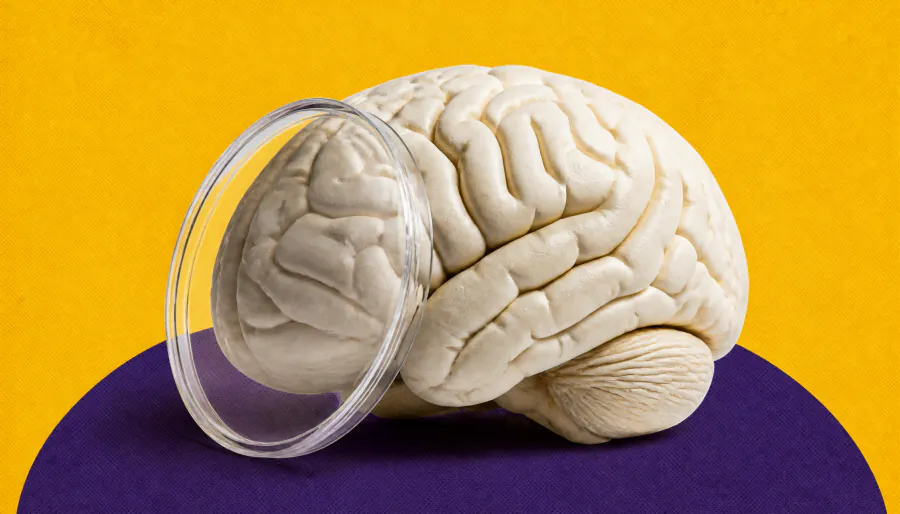 A rare genetic mutation may explain why some high-risk people never get Alzheimer's