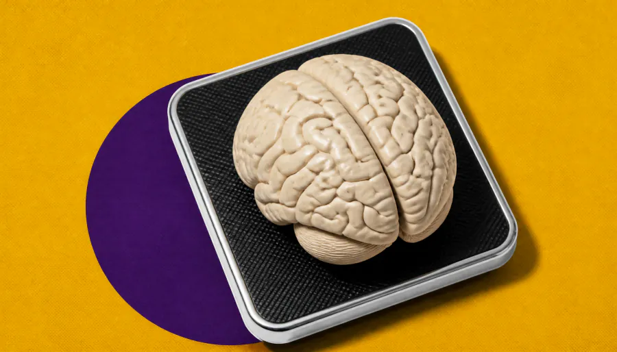 Heavier at diagnosis, longer survival: obesity's surprising link to dementia mortality