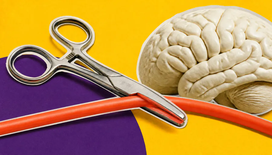 Blocking immune cells — not tau — may be the key to stopping Alzheimer's brain damage