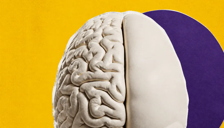 Why some primate brains are smooth: the cellular secrets behind brain folding