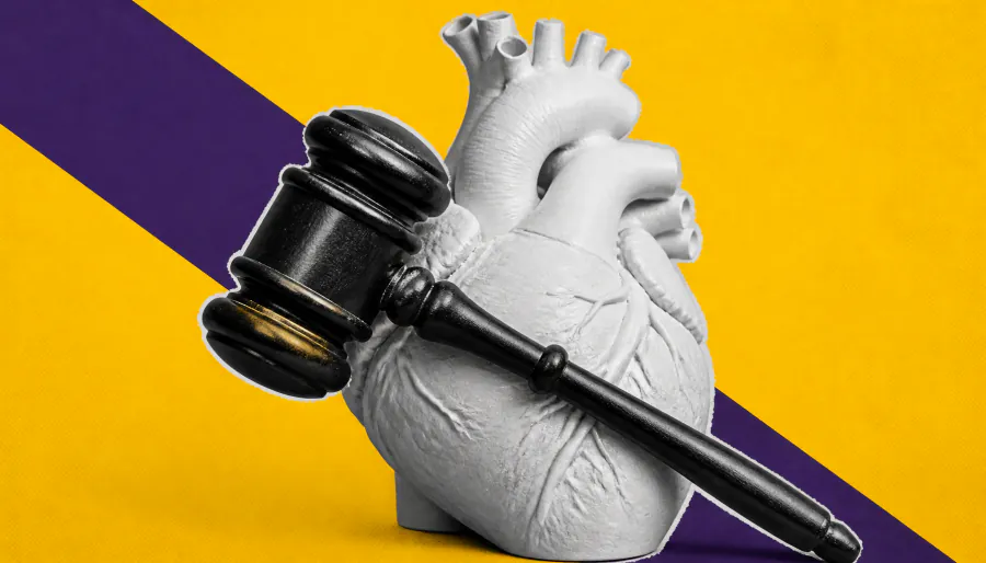 FDA greenlights Edwards Lifesciences' PASCAL Precision for tricuspid valve repair