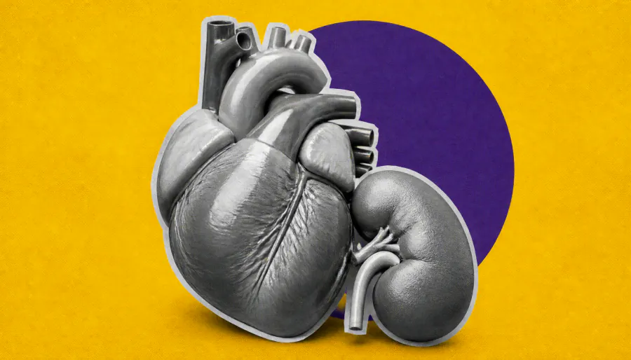 Heart failure and cardio-kidney-metabolic syndrome: A growing overlap reshaping prevention and treatment