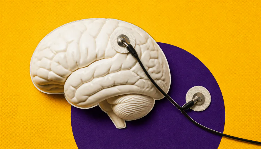 The brain's "postal network": Scientists uncover a hidden, targeted messaging system in the locus coeruleus