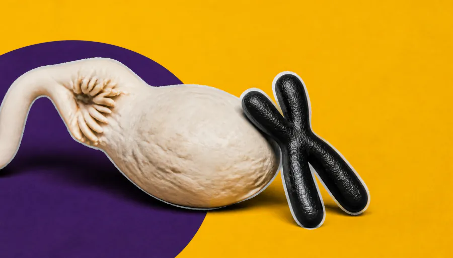 Same proteins, different jobs: Meiosis machinery is more flexible than we thought