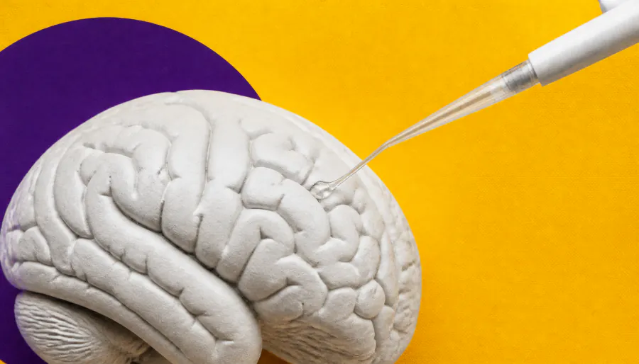 Thick fluid around brain tumors may be secretly turbocharging cancer invasion