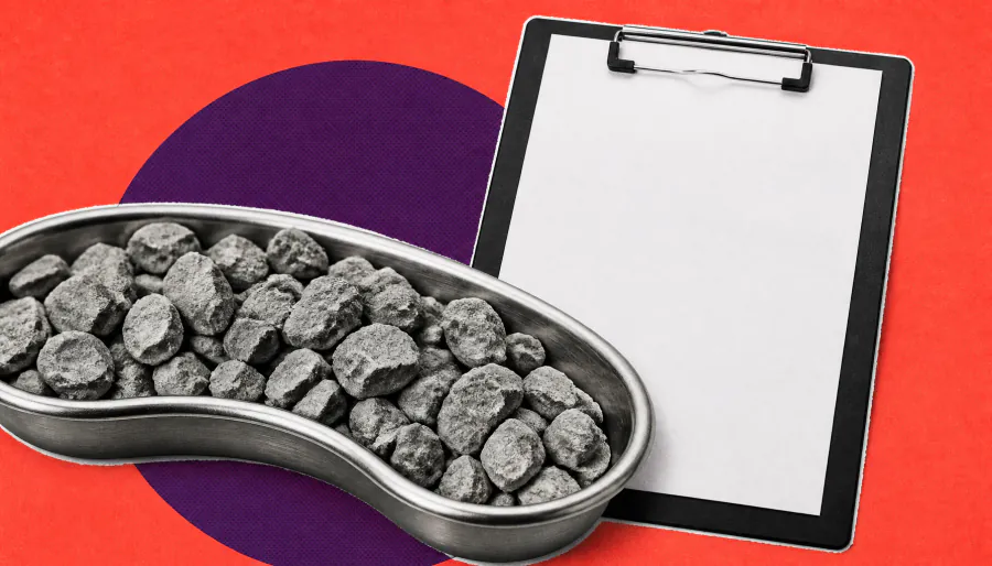 Kidney stones and depression: A deadly combination hiding in plain sight