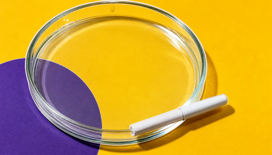 Meet "Mitch": the protein switch that could reshape obesity treatment