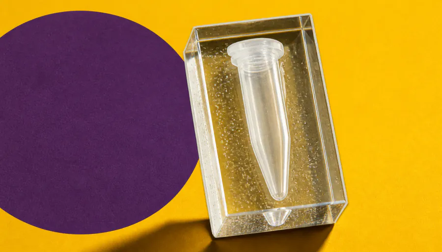 Scientists crack the cellular "time capsule" — now we can read a cell's genetic past