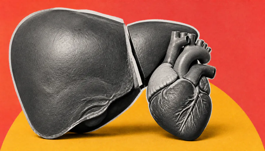 Alcohol-related cirrhosis and heart failure are quietly disabling millions — and it's getting worse