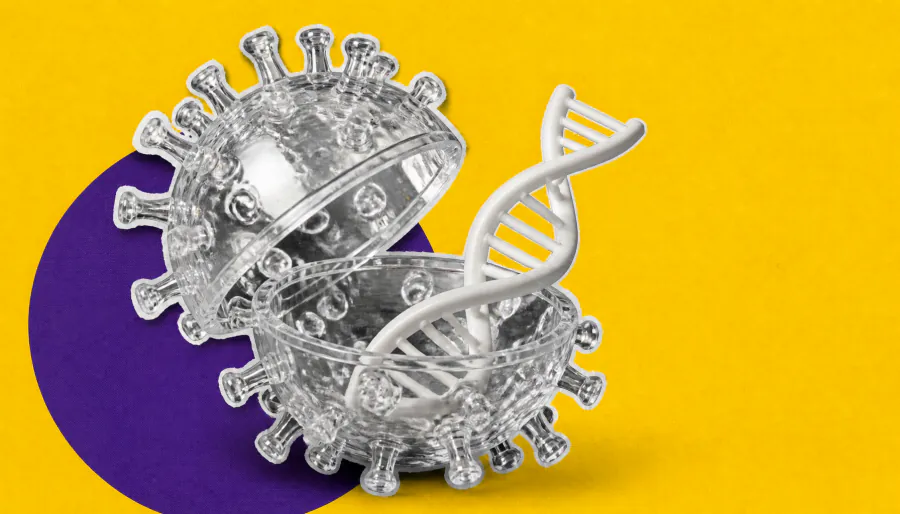 $1M NSF grant funds groundbreaking research into RNA-DNA hybrid virus evolution