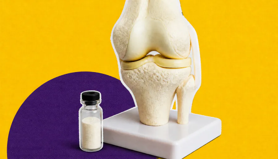 Daily fiber supplement eases knee arthritis pain and boosts muscle strength