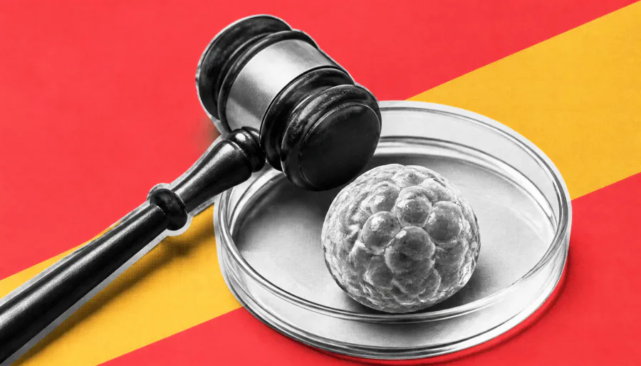 Japan criminalizes reproductive genome editing — but calls for global coordination