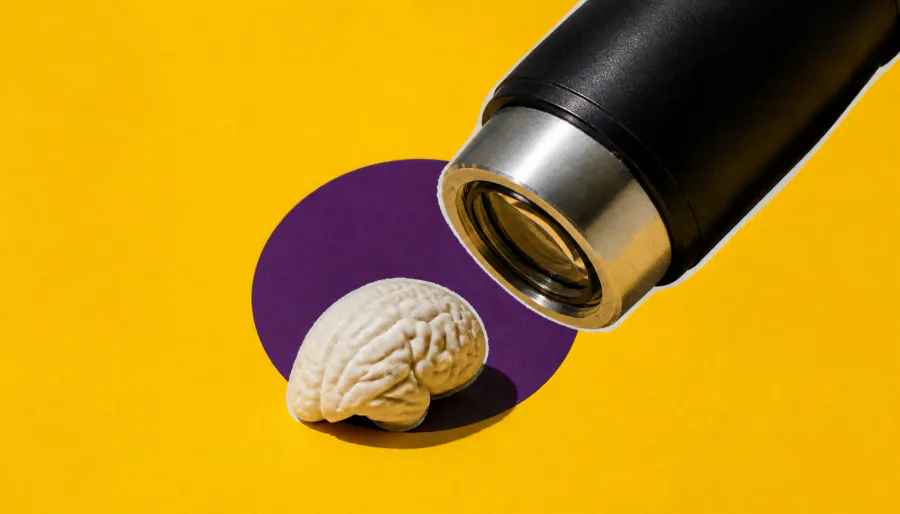New TrUDI microscopy platform shatters deep brain imaging limits — safely