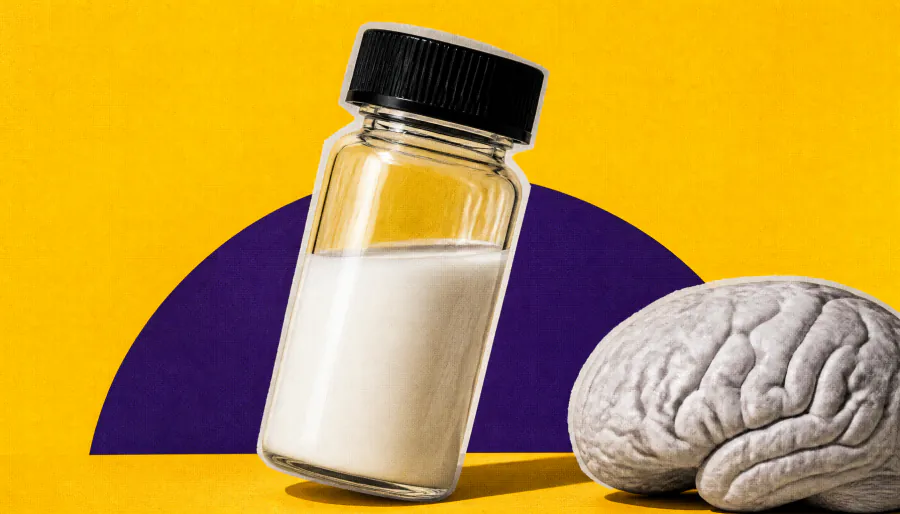 What parents eat may shape their children's brains — new mouse study points to dietary fat