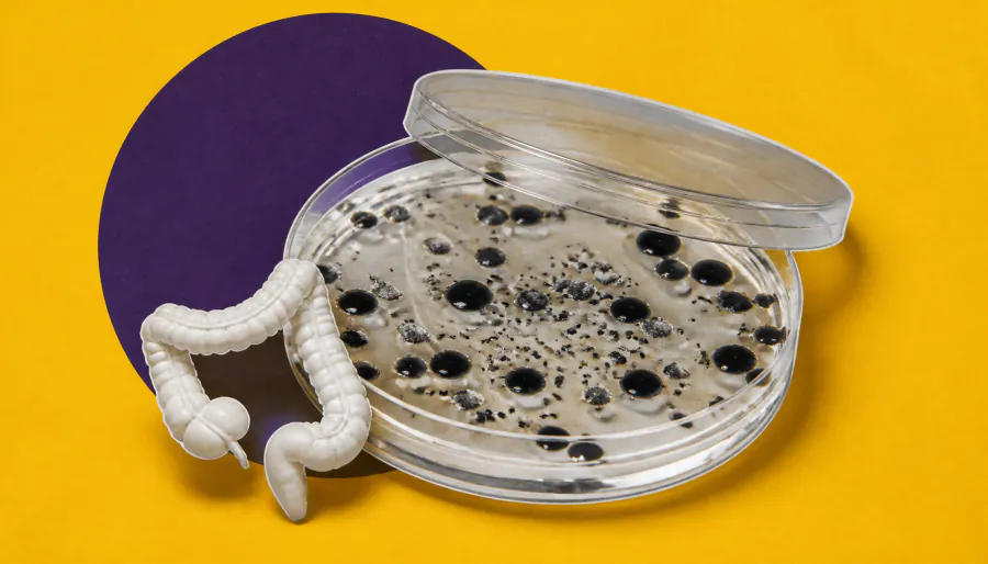 New gene pathway discovery could unlock treatments for IBD and autoimmune disease