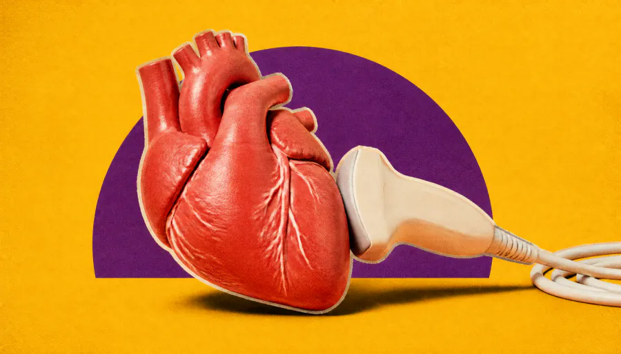 Major medical societies unveil first-ever life course framework for women's heart health
