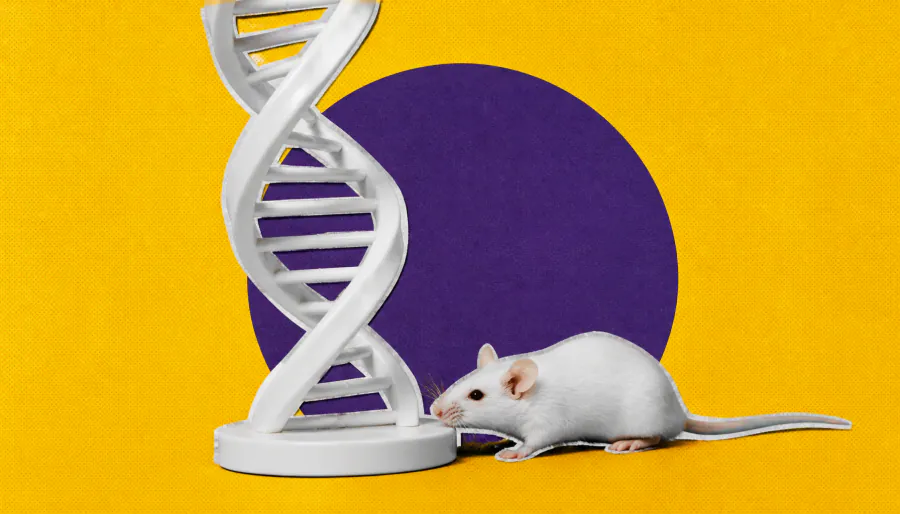 A new math-powered tool bridges the gene gap between mice and humans
