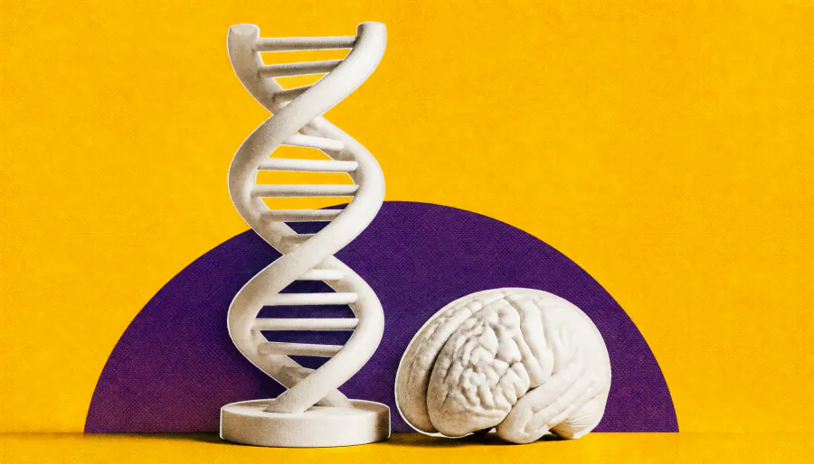 Landmark Alzheimer's genetics study identifies 48 new risk regions and triples heritability estimates