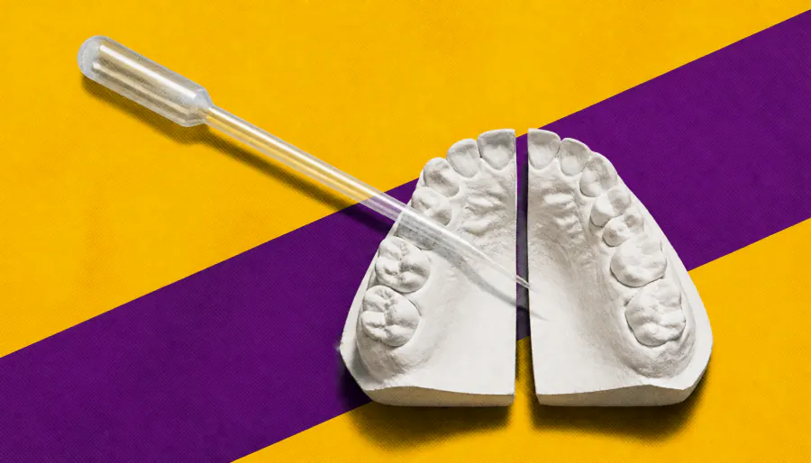 How your face is built: the cellular teamwork behind craniofacial development
