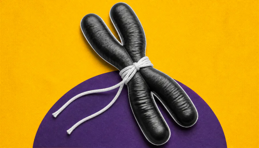 Meet OMC1: the protein that acts as a guardian of egg chromosome health