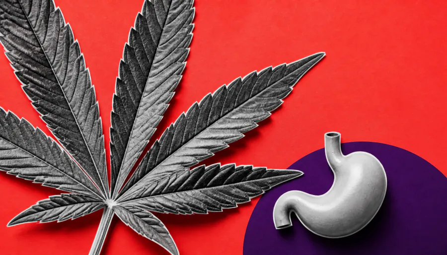 Cannabis in GI care: Helpful tool or harmful habit?
